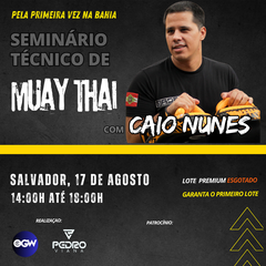 Seminário Técnico de Muay Thai