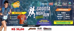 Gaivota Night Run - Virtual